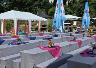 mogatec-sommerfest-2026